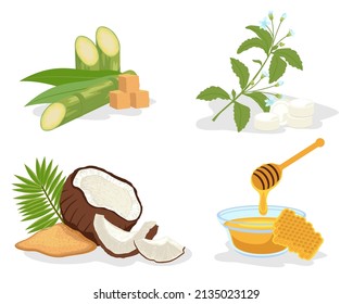 Natural sweeteners. Brown organic cane sugar, honey honeycombs, green leaves stevia plants and pills. Diet food, health sweeteners. Natural cane sugar, coconut and stevia. Vector illustration