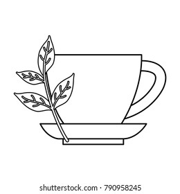 Natural tea cup