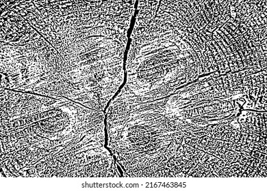 Natural texture of a cut tree with knots. Monochrome background of cracked dry sawn log. Overlay template. Vector illustration