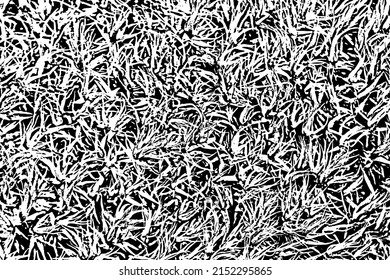 Natural texture of forest moss close-up. Monochrome background of the surface of the sphagnum. Overlay template. Vector illustration