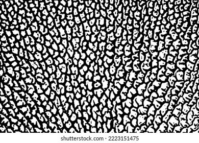 Natürliche Struktur der organischen Maschenoberfläche. Einfarbiger Hintergrund der Makrosporen-Schicht des Pilzes. Vorlage überlagern. Vektorgrafik