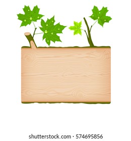Natural textured maple wooden rectangular signboard with green leaves and water drops vector illustration