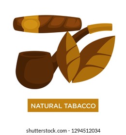 Natural tobacco cigar and smoking wooden pipe relaxation isolated vector harmful habit and addiction plant dried leaves Cuban product and device or items to smoke unhealthy lifestyle and dependency.