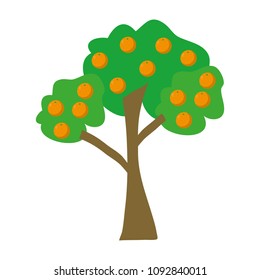 natural tree with delicious oranges fruits