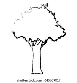 natural tree foliage branch trunk sketch