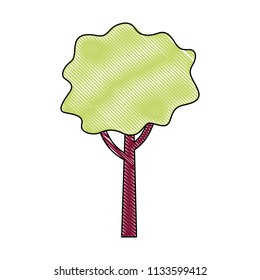 natural tree foliage forest image