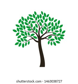 natural tree with green leaves vector illustration