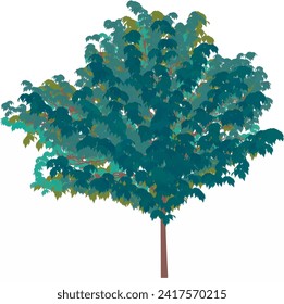 natural tree leaf beautiful  environment