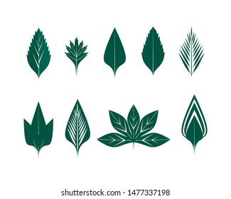 natural tree leaf graphic set