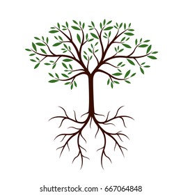 Natural Tree with Leaves and Roots. Vector Illustration.