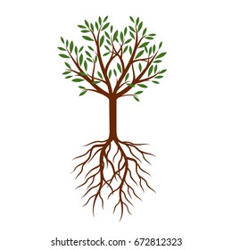 Natural Tree with Leaves and Roots. Vector Illustration.