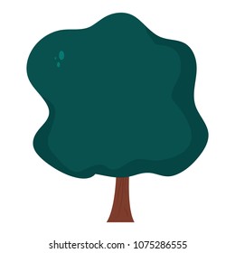 natural tree with nice leaves and stalk