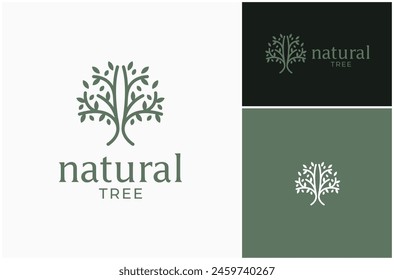 Natural Tree Plant Nature Spring Foliage Simple Line Art Vector Logo Design Illustration