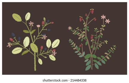 Natural Tree Vector (1)