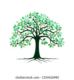natural tree vector illustration