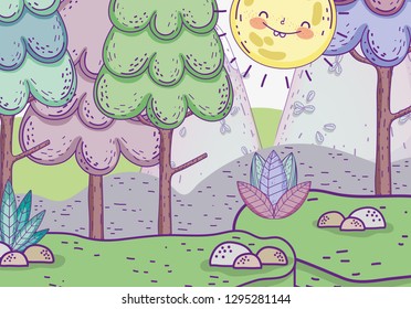 natural trees wiith sun and plants with stones