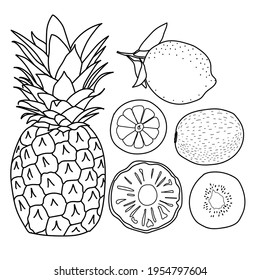 Natural tropical fruit, vitamin lemon.organic fruits, vegetarian food. Vector isolated icons illustration set