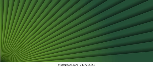 natural tropical green leaf palm leaf texture close up. vector