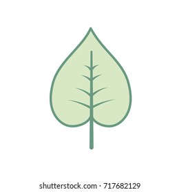 natural and tropical leaf