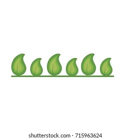 natural and tropical leaves