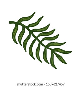 natural tropical leaves vector logo template