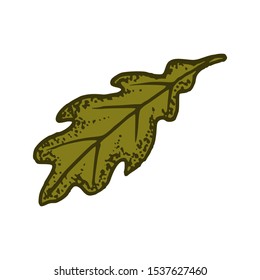 natural tropical oak leaf vector logo template illustration EPS 10