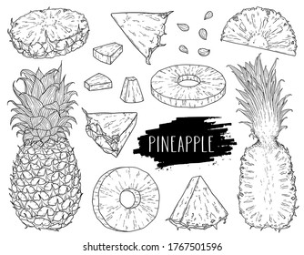 Natural tropical pineapple set. Hand drawn whole pineapple, slices pieces, half and seed. Design for shop, book, menu, banner. Outline ink style sketch. Vector coloring illustration.