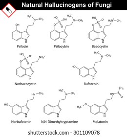 Natural tryptamine hallucinogens - baeocystin, norbaeocystin, psilocin, psilocybin, melatonin, bufotenin, norbufotenin, DMT. Molecular chemical models, 2d vector, isolated on white background, eps 8