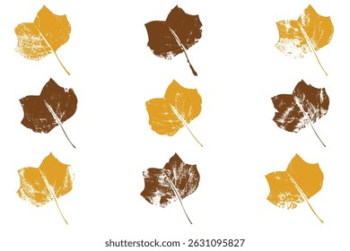 Natural  tulip tree leaves imprint, Grunge style, Vector, Isolated, Decorative elements for design	