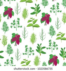 Natural Twig Herb Seamless Pattern Background on a White Dill, Parsley, Basil, Mint, Rosemary, Tarragon, Laurel and Thyme for Menu Cuisine. Vector illustration of Herbs