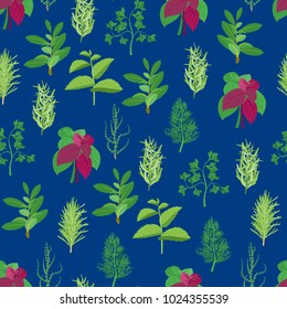 Natural Twig Herb Seamless Pattern Background on a Blue Dill, Parsley, Basil, Mint, Rosemary, Tarragon, Laurel and Thyme for Menu Cuisine. Vector illustration of Herbs