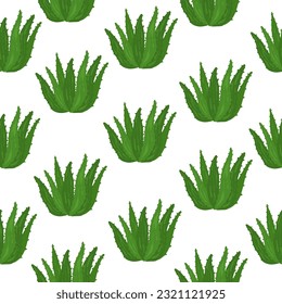 Natural Vector Aloe vera illustration with Aloevera hand drawn lettering