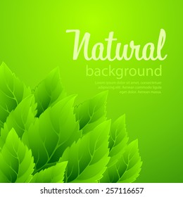 Natural vector background with green spring leaves