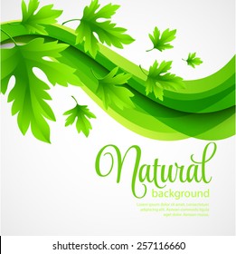 Natural vector background with green spring leaves