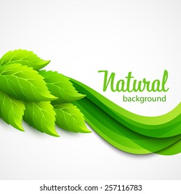 Natural vector background with green spring leaves 