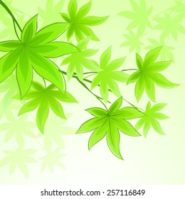 Natural vector background with green spring leaves