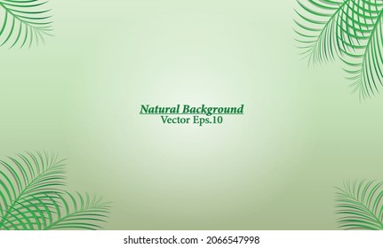 Natural Vector Background With Palm Leaf Design