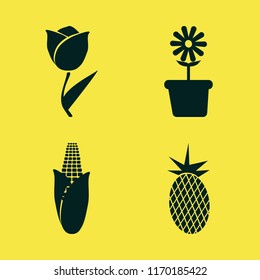 natural vector icons set. with corn, flower pot, fresh pineapple and tulip in set