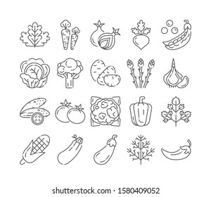 Natural vegetables black line icons set. Healthy, organic food concept. Cooking ingredients collection. Pictograms for web page, mobile app, promo. UI UX GUI design elements. Editable stroke.