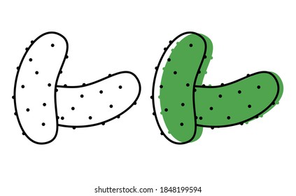 Natural vegetables from the garden. eco products. vector cucumber icons in flat style.