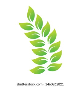 natural vines isolated design vector icon logo