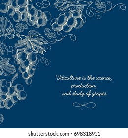 Natural viticulture hand drawn template with twigs of grapes and inscription on blue background vector illustration