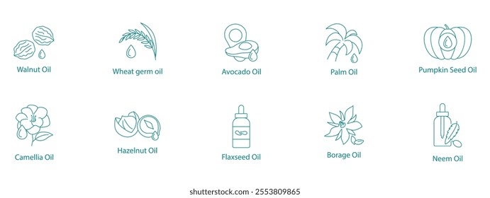 Natural Wellness Oils Vector Icon Set
Walnut, Wheat Germ, Avocado, Palm, Pumpkin Seed, Camellia, Hazelnut, Flaxseed, Borage, Neem