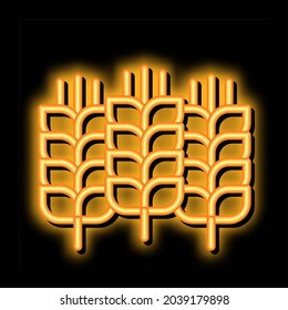 Natural Wheat Ears Harvest neon light sign vector. Glowing bright icon Agricultural Farmland Wheat Plant Harvest Concept Linear Pictogram. Agriculture Crop sign. transparent symbol illustration