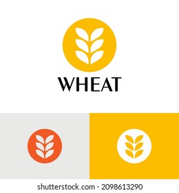 Concepto de diseño del logotipo del trigo natural. Ilustración de la marca logarítmica de grano de salud. Pueden representar plantas, vegetales, vegetales, alimentos, cosechas, salud, pan, cereales, granjas.
