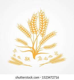 Natural wheat rice graphic design for product. Wheat brush design elements. Vector illustration.
