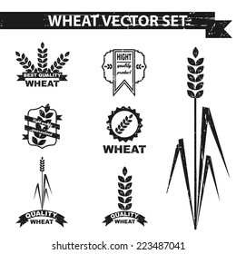 Natural wheat vector set  on the grunge background