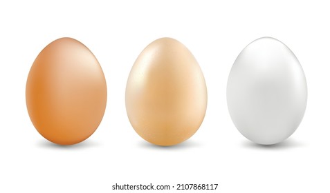 Natural white and brown eggs for Easter, a set of three multi-colored eggs isolated on a white background. Pattern for ornament. copy space. Vector illustration
