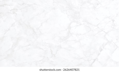 Natural white marble stone interiors backdrop design