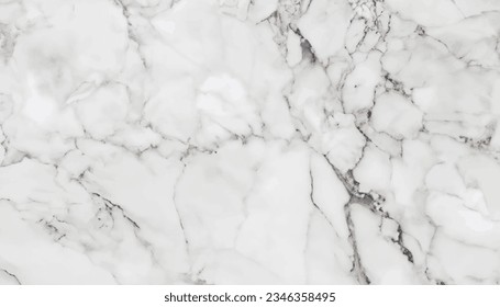 natural White marble texture for skin tile wallpaper luxurious background. Creative Stone ceramic art wall interiors backdrop design. picture high resolution Vector Illustration